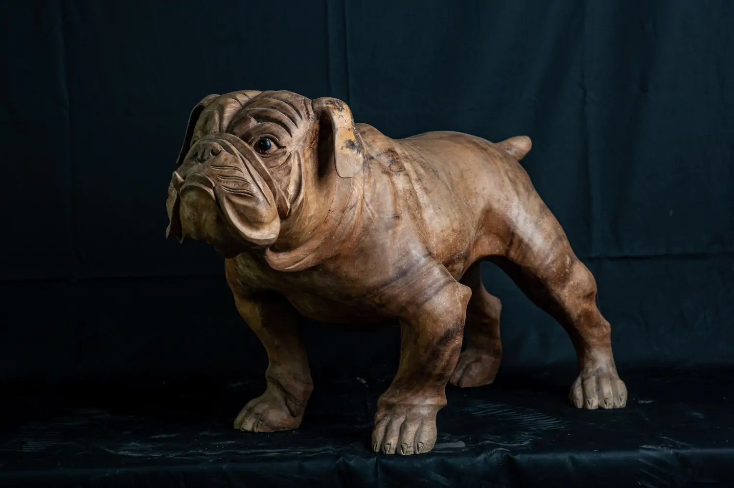  Product image 3 of the product “Standing French Bulldog made from suar wood, 75cm Height. ”